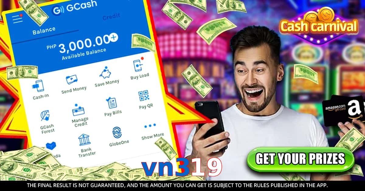 vn319