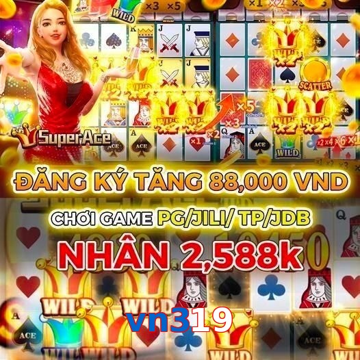 vn319
