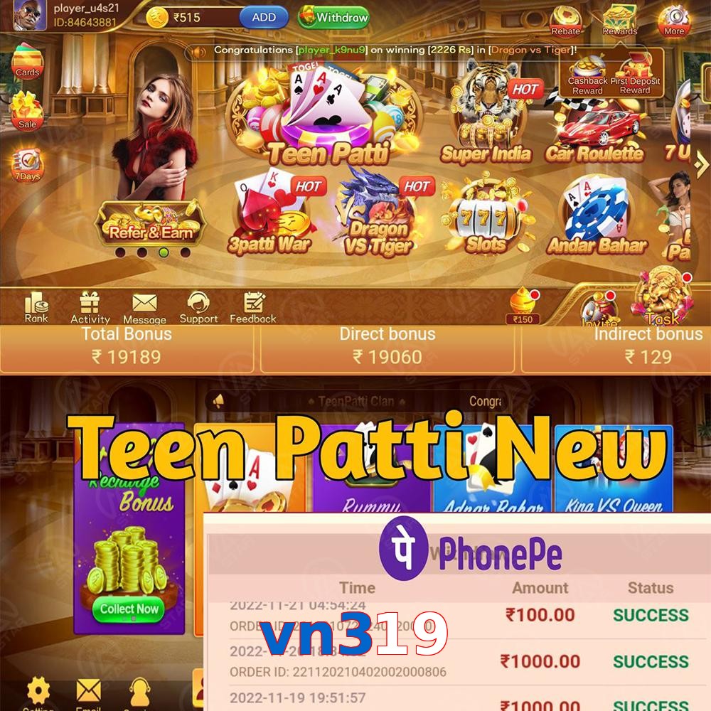 vn319